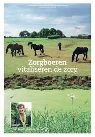 Droomsituaties Met Paarden