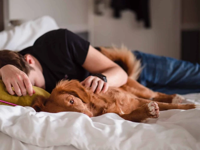 Waarom We Dromen Over Honden En Trouw