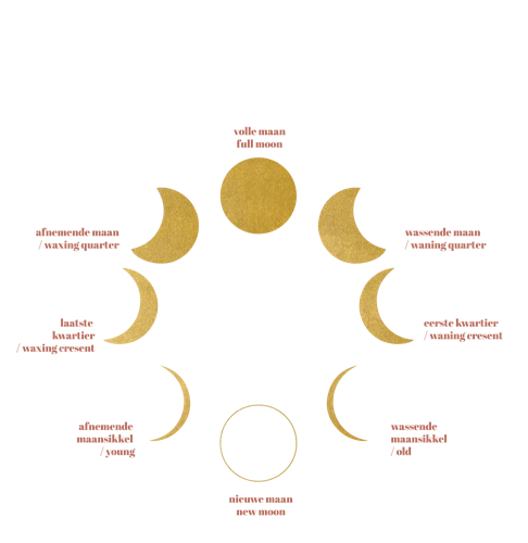 Betekenissen Van Dromen Tijdens De Volle Maan