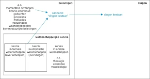 De Spirituele Boodschappen Van Vleermuizen In De Horoscoop