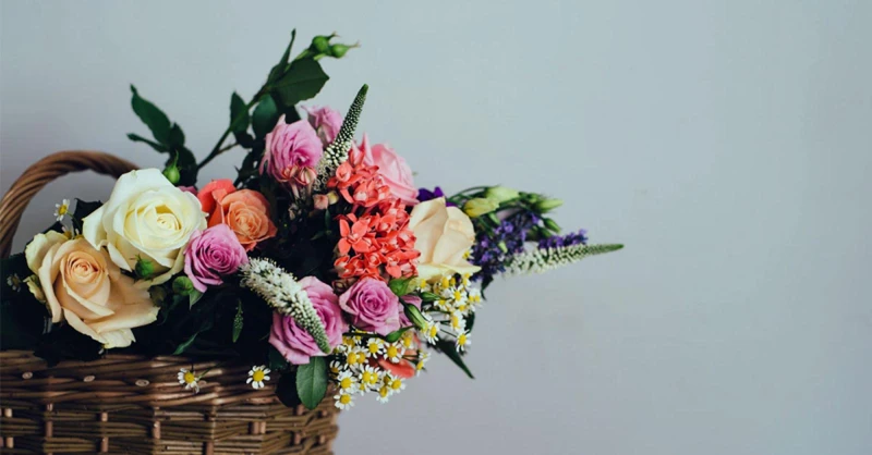 Populaire Soorten Witte Bloemen En Hun Betekenis